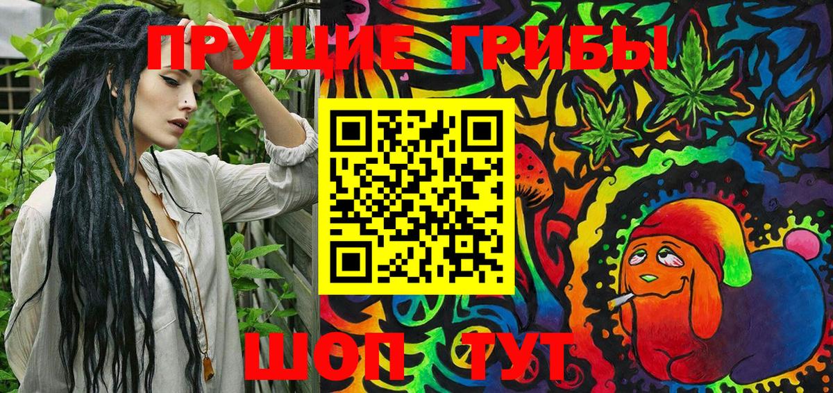 Галлюциногенные грибы Psilocybe Ухта